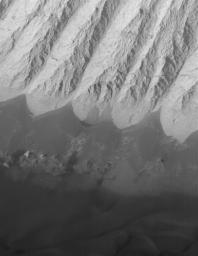 NASA's Mars Global Surveyor shows dark, windblown sand and an eroded slope of massively-bedded, light-toned, sedimentary rock. These landforms are located in east/central Candor Chasma on Mars.