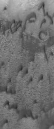 NASA's Mars Global Surveyor shows dark, windblown sand dunes in a crater in the Hesperia region of Mars.