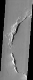 With a location roughly equidistant between two of the largest volcanic constructs on the planet, the fate of the approximately 50 km (31 mile) impact crater in this image from NASA's Mars Odyssey was sealed. It has been buried to the rim by lava flows.