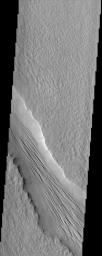The Tharsis Montes region on Mars is a major center of volcanic and tectonic activity. The channel in this image from NASA's Mars Odyssey is west of the relatively small volcano called Biblis Patera although it shows no obvious relationship to it.