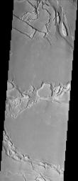 The force of moving water from a flood carved these teardrop-shaped islands within Granicus Valles, imaged here by NASA's Mars Odyssey spacecraft. The orientation of the islands can be used as an indicator of the direction the water flowed.