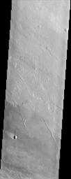 This image from NASA's Mars Odyssey of lava flows around the large scarp of Olympus Mons reveals textures characteristic of the variable surface roughness associated with different lava flows in this region.