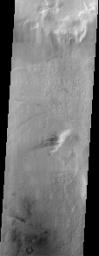 This NASA Mars Odyssey image was taken during winter in the southern hemisphere, meaning that the usually cloudy Hellas Basin is relatively free from clouds.