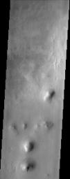 This NASA Mars Odyssey image of rounded hills and ridges in Arcadia Planitia shows a very intriguing geomorphic feature that may be attributed to the presence of an icy-rock mixture of material.