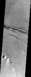 This image from NASA's Mars Odyssey spacecraft shows fractures within the volcanic plains south of Elysium Mons.
