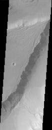 A large streamlined island in Kasei Vallis, as seen in this NASA Mars Odyssey image, shows evidence of scour on its surface, probably from floods that preceded the formation of the island.