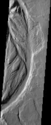 Streamlined channels near Lucus Planum can be seen in this image from NASA's Mars Odyssey spacecraft. These features were formed by catastrophic floods in the Martian past.