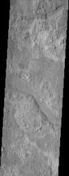 A variegated mottled texture located NW of the volcano Elysium Monsis is readily apparent in the terrain imaged here by NASA's Mars Odyssey spacecraft. The Hrad Vallis channel system can be seen sauntering across the bumpy landscape of Utopia Planitia.