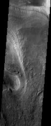 Erosion of the interior layered deposits of Melas Chasma, part of the huge Valles Marineris canyon system, has produced cliffs with examples of spur and gulley morphology and exposures of finely layered sediments, as seen in this NASA Mars Odyssey image.
