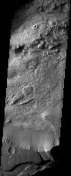 The layered deposits in this Valles Marineris canyon imaged by NASA's Mars Odyssey spacecraft are heavily eroded by the wind into an impressive array of yardangs and swirling patterns of layers. The origin of the deposits remains a mystery.