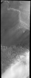 The large sand sheets and dunes observed in this image from NASA's Mars Odyssey are located near the north pole of Mars. Changes in surface albedo across the image are likely due to variable thicknesses of dark sand that covers lighter surfaces.