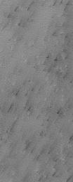 NASA's Mars Global Surveyor shows a polygon-cracked plain in the south polar region of Mars. Dark spots and streaks indicate areas where the frost had begun to change and sublime away.