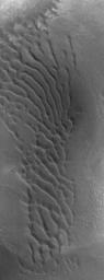 NASA's Mars Global Surveyor shows a rare patch of dark sand dunes in the Nilosyrtis Mensae region of Mars.