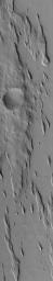 NASA's Mars Global Surveyor shows yardangs, a typical ridge pattern formed by wind erosion, in southern Amazonis on Mars.
