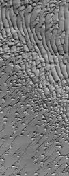 NASA's Mars Global Surveyor shows frost-covered sand dunes in the martian north polar region.