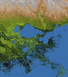 The geography of the New Orleans and Mississippi delta region is well shown in this radar image from NASA's Shuttle Radar Topography Mission. In this image, bright areas show regions of high radar reflectivity, such as from urban areas.