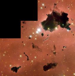 Strangely glowing, floating dark clouds are silhouetted against nearby bright stars in a busy star-forming region viewed by NASA's Hubble Space Telescope.