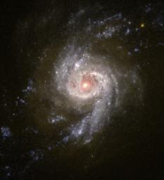 Scientists using NASA's Hubble Space Telescope are studying the colors of star clusters to determine the age and history of starburst galaxies, a technique somewhat similar to the process of learning the age of a tree by counting its rings.