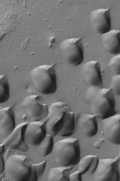 NASA's Mars Global Surveyor shows sand dunes in Wirtz Crater on Mars.