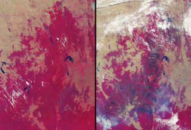 More than 2 million acres were consumed by hundreds of fires between December 2002 and February 2003 in southeastern Australia's national parks, forests, foothills and city suburbs as seen by NASA's Terra spacecraft.