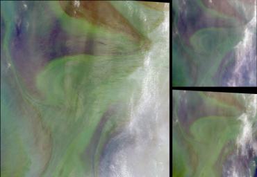 In the Arabian Sea, sunlight and nutrients has fueled a startling occurrence of colorful phytoplankton and bacterial assemblages, which is captured in these natural color images from NASA's Terra spacecraft October 2, 2004.
