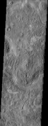 An unusual mix of textures is featured in this image from NASA's Mars Odyssey spacecraft of a surface east of the Phlegra Montes. Scabby mounds, commonly occurring around degraded craters, mix with a more muted, knobby terrain.