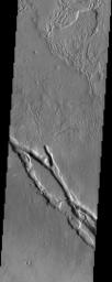 Hrad Vallis, seen in this NASA Mars Odyssey image, appears to be affecting the local wind patterns. The texture of the terrain just around the valleys is markedly different from that its surroundings.