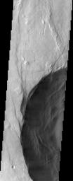 Pavonis Mons is the middle of the three large volcanoes on the Tharsis bulge. This image from NASA's Mars Odyssey spacecraft covers the edge of the volcano's caldera. Outside of the caldera, numerous lava flows and impact craters can be seen.