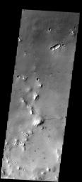 In this image from NASA's Mars Odyssey, eroded mesas and secondary craters dot the landscape in an area of Cydonia Mensae. The single oval-shaped crater displays a 'butterfly' ejecta pattern, indicating that the crater formed from a low-angle impact.