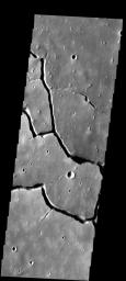 In this image from NASA's Mars Odyssey spacecraft showing a location about 1,000 km (620 miles) west of the massive Elysium volcanic complex, a system of branching troughs shows a continuum of features that provides clues to its origin.