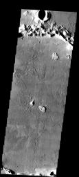 This image from NASA's Mars Odyssey spacecraft shows a flooded crater in Amazonis Planitia. This crater has been either flooded with mud and or lava. The fluid then ponded up, dried and formed the surface textures we see today.