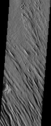 The Medusae Fossae formation, seen in this NASA Mars Odyssey image, is an enigmatic pile of eroding sediments that spans over 5,000 km (3,107 miles) in discontinuous masses along the Martian equator.