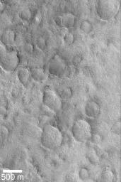 NASA's Mars Global Surveyor shows Utopia Planitia, one of the most heavily-cratered areas on Mars.