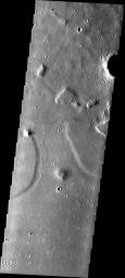 A channel-like feature roughly halfway between the Isidis Basin and Elysium Mons on Mars shows no connection to either a source region or terminal basin is seen in this image from NASA's Mars Odyssey.