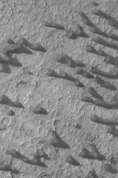 NASA's Mars Global Surveyor shows dark sand dunes near the center of Schaeberle Crater on Mars. Steep slopes on the dunes point northwest.