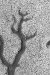 NASA's Mars Global Surveyor shows part of a dark-floored valley system in northern Newton Crater on Mars.