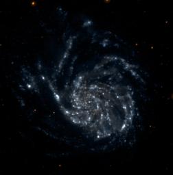 This single orbit exposure, ultraviolet color image of Messier 101 was taken by NASA's Galaxy Evolution Explorer on June 20, 2003. Messier 101 is a large spiral galaxy located 20 million light-years from Earth.