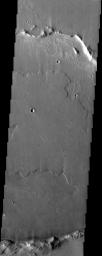 NASA's Mars Odyssey spacecraft captured this image in July 2003, showing lava has flooded this crater in Daedalia Planum on Mars.