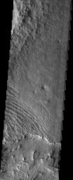 NASA's Mars Odyssey spacecraft captured this image in July 2003, showing the strange landscape of the eroding Medusa Fossae Formation. In the southern portion, small mounds of sedimentary material are all that remains of a once more continuous layer.