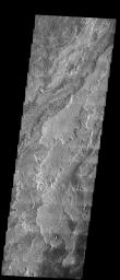 NASA's Mars Odyssey spacecraft captured this image in July 2003, showing remarkable differences in brightness and texture are apparent between these lava flows found on the southern flanks of Arsia Mons on Mars.