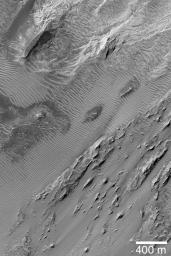 NASA's Mars Global Surveyor shows the plethora of large, windblown ripples (or small dunes) among wind-sculpted sedimentary rocks in eastern Candor Chasma on Mars.