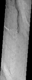 NASA's Mars Odyssey spacecraft captured this image in August 2003, showing a large outflow channel, split and diverted around an obstacle just north of Memnonia Fossae on Mars.