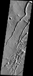 NASA's Mars Odyssey spacecraft captured this image in August 2003, showing the southern flank of the massive Pavonis Mons volcano on Mars which hosts a remarkable concentration of channels, pit chains, and graben.