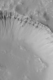 NASA's Mars Global Surveyor shows a suite of gullies in the wall of a crater on Mars. The gullies are considered to have formed by downslope transport of water-laden debris.