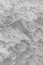 NASA's Mars Global Surveyor shows patterns created by defrosting processes on the martian south polar seasonal ice cap. Dark cracks form a polygon pattern, and wind blows material to form varied bright and dark streaks. 