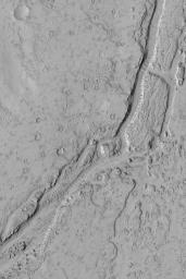 This image from NASA's Mars Global Surveyor shows a valley in the Phlegra Dorsa region of Mars. The valley might have formed by flowing water or lava.