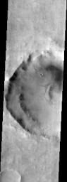 A multitude of dust devil streaks are shown in this image taken in November 2003 by NASA's Mars Odyssey spacecraft.