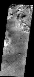 This image from NASA's 2001 Mars Odyssey released on Nov 20, 2003 is located near the boundary between Syrtis Major and Isidis Planitia shows rough material eroded away from an underlying surface with many small craters.