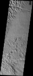 This image from NASA's 2001 Mars Odyssey released on Nov 24, 2003 shows the furrowed terrain of Gigas Sulci, likely produced in response to the evolution of Olympus Mons volcano. A narrow channel with lava snakes flows into a gaping chasm.
