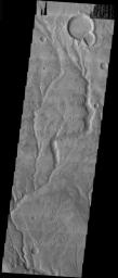 This image from NASA's 2001 Mars Odyssey released on Nov 26, 2003 shows channels and impact craters observed near Warrego Valles have been eroded and filled with sediment after their formation.